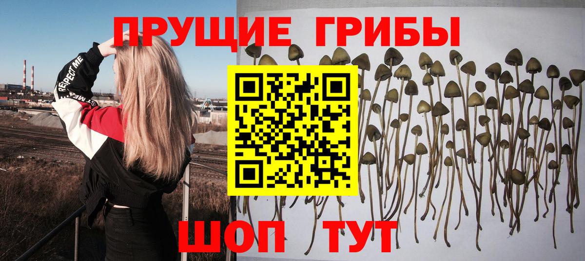 Псилоцибиновые грибы мухоморы  Вход с VPN  Троицк  Псилоцибиновые грибы Cubensis 