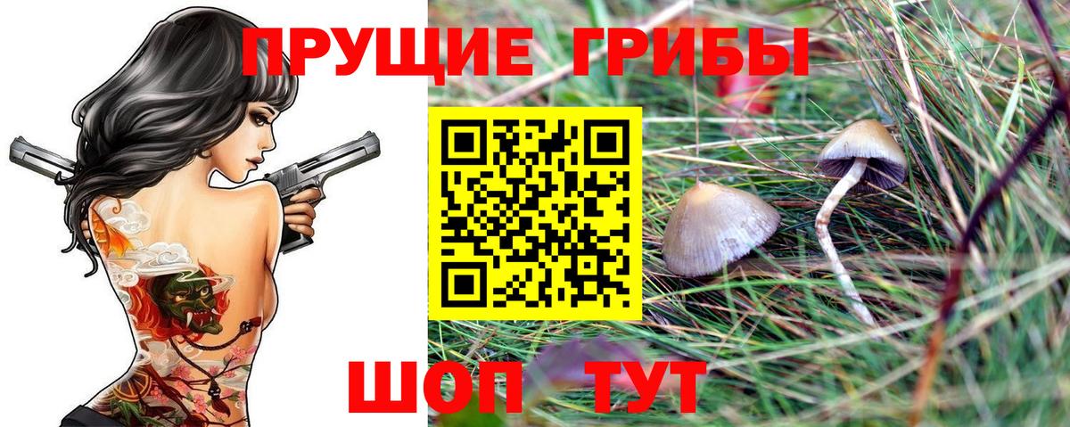 Псилоцибиновые грибы Cubensis Троицк